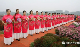 爆菊花视频,揭秘网络爆菊花视频背后的趣味与思考